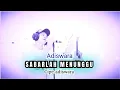 Lagu SABARLAH MENUNGGU - Slow Rock Melayu Indonesia | ADISWARA (Official Music Video)
