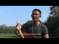 Download Lagu Kulang Kaling - #Albi_Erlangga (Official Music Lyric) Dangdut Lampung