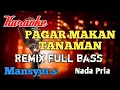 Download Lagu Pagar makan tanaman Remix karaoke nada pria