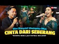 CINTA DARI SEBERANG - SHINTA GISUL Feat FAYSAL MALANG (Live Dangdut Lembayung Music)