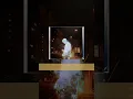 [中字] JAEHA (金济夏) - SUMMER NIGHT