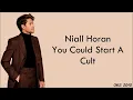 Niall Horan - You Could Start A Cult (lyrics)