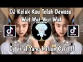 Download Lagu DJ KELAK KAU TELAH DEWASA REMIX WUT WUT WUT WUT | DJ KUTIMANG ADIKKU SAYANG VIRAL TIKTOK 2025 !