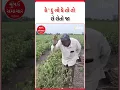 Saurashtra Mumbai Samachar
