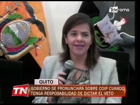 Gobierno se pronunciará sobre COIP cuando tenga responsabilidad de dictar el veto