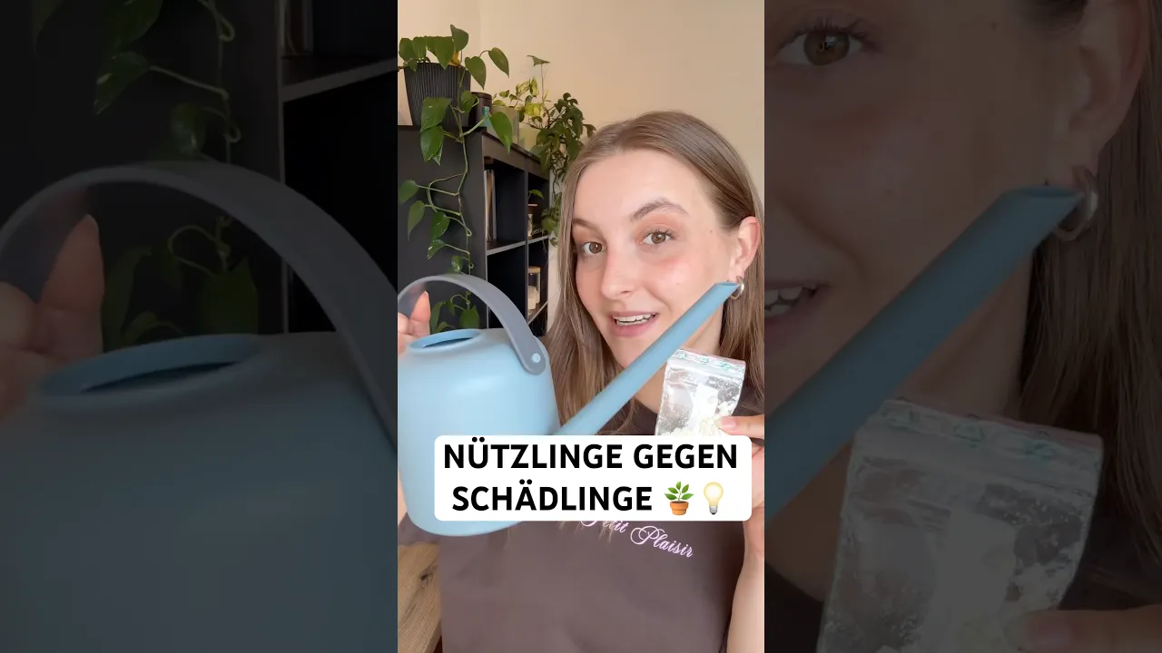 Nematoden richtig einsetzen – so bekämpfst du Trauermücken, Apfelwickler, Engerlinge & Co biologisch