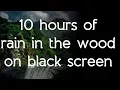 Download Lagu 🎧 ☁ Rain in the woods sound on black screen dark screen high quality white noise ASMR