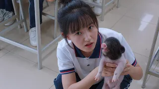 بنت كيوت بتتنمر علي زميلها الجديد بس بتنصدم لما بتعرف انه عايش معاها في نفس البيت ملخص مسلسل 