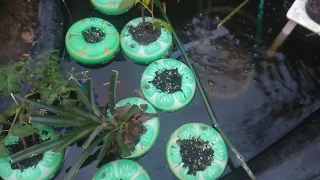 solar powered aquaponics hydroponics ultrasonic fogponics microgarden
