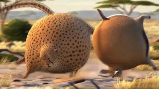 funny fat animals short animated film