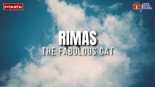 rimas fabulous cat lirik video
