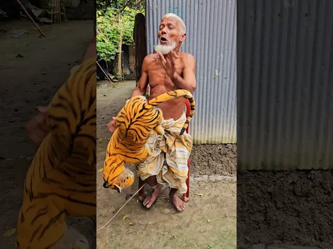 Sleeping Grandpa Wakes Up to a FAKE TIGER! 😱🐯 | Hilarious Reaction #prank #shorts #family