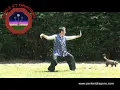 kuang ping yang tai chi chuan tuto (guangpingyang)