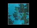🌌 Phlocalyst 🛸 Entity 👽 (⚕️🐉 Full 🌟☤ Album 🛰️)