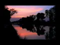 Near The Parenthesis - Nidae