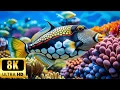 Download Lagu Giants of the Blue World 8K | Marine Wildlife Documentary 60FPS Ultra HD