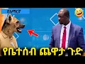 Download Lagu 🔴 በAI የተሰሩ ሽንት አስጨራሽ የአኒሜሽን ቀልዶች | New Ethiopian animation comedy
