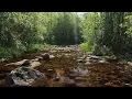 Download Lagu Suara burung bernyanyi yang menenangkan dan aliran sungai yang mengalir