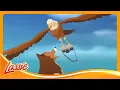 Download Lagu 📸 A Brave Dog’s Adventure In The Wild 🐶 + More Cartoon for Kids @lassie.official