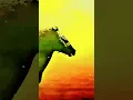 Download Lagu Hamare Ser ALLAH Ke Siwa Kise ke Samne Nhi Jukh Sakte Osman series Edit