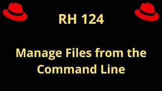 Manage Files from the Command Line