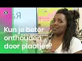Download Lagu Kun je woorden beter onthouden door plaatjes? | NOJ