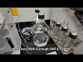 Peptide Array Synthesis on a Cellulose Membrane