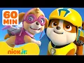 Download Lagu 60 MINUTES of PAW Patrol's Best Rescues from Season 1! 🐾 | Nick Jr.