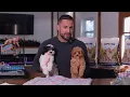 Cavapoo Puppies for Sale in New Jersey Red vs Tri Color Cavapoo