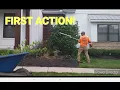 Stihl HL 94 K In Action Complete Hedge Trimming Job