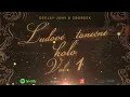 Lagu Deejay-jany - Ľudové Tanečné kolo, vol. 1 [ SPOTIFY VERZIA ]