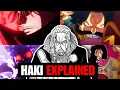 The LAST Haki You ll Ever Have To Watch