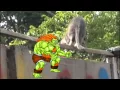 blanka troll