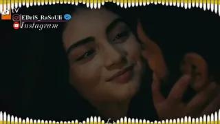 چند وقت شده دورم از کویت دندنها