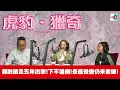 [Highlights] Stephanie Cheng releases a song after five years of starvation! No violations here! ...