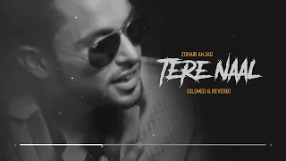 Download New Punjabi Songs 2022 | Tere Naal (Slowed \u0026 Reverb) Zohaib Amjad | Midnight Relaxing Songs MP3