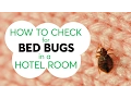 How to Check for Bed Bugs in a Hotel Room Consumer Reports