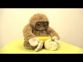 Top 10 Hilarious Cat GIFs with Sound