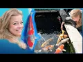 Download Lagu Koi vijver bezoek; Claire verteld over haar passie