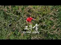 Download Lagu 糖霜李子干、桃桃冰冰李、冰爽红李罐、桃李燕麦派，果饮果脯果糕全都自己做！｜Sanhua plums【闽湖阿嬤Fujian Grandma】