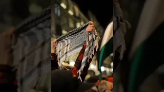 النشيد الرائع    خففي الشكوى    اداء المنشد بلال الأحمد    دندنها