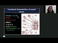 Download Lagu Anatomy lecture no.11 Cranial Nerves