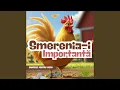 Download Lagu Smerenia-i importantă
