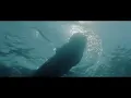Holy Other - Love some1 [HD Video]