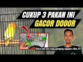 Download Lagu LOVEBIRD GACOR DOR DENGAN PAKAN INI TANPA DOPING‼️