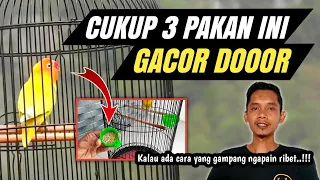 Download LOVEBIRD GACOR DOR DENGAN PAKAN INI TANPA DOPING‼️ MP3