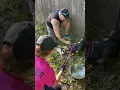 WAAL Puppy Rescue-Aug 5 2023
