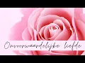 Download Lagu Twin Flame tarot reading | De ander neemt verantwoordelijkheid en pakt kansen aan