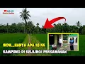 Download Lagu KAMPUNG TENGAH SAWAH !! HANYA 18 KK, BIKIN BETAH SEMUA ORANG