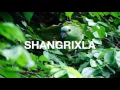 Sango - Respeita (feat. VPZ)